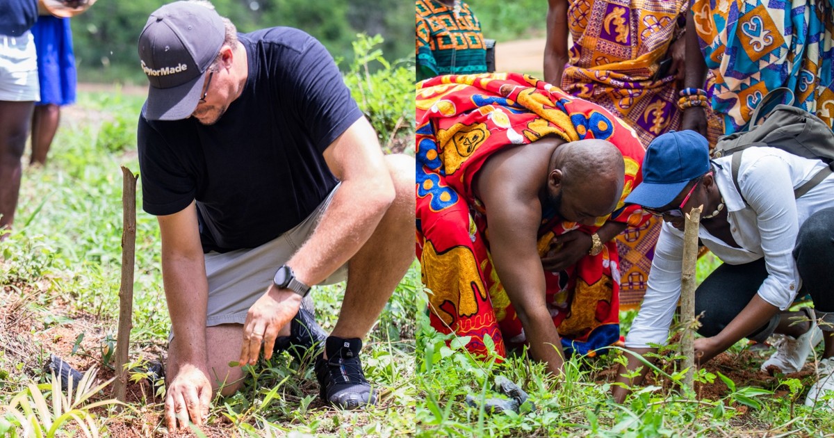 Pernod Ricard Ghana's planting of 10,000 trees begins at Moree - Vimarsana News