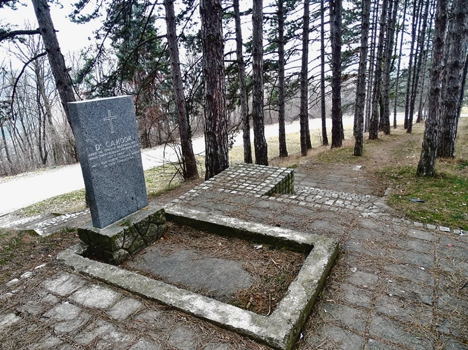 Jedini sačuvani materijalni dokaz o onima koji su sahranjeni na brdu vidrak jeste grob i spomenik američkog lekara dr Samjuela A. Kuka