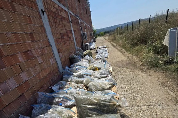 SPECIJALCI SA GAS MASKAMA ULETELI U KUĆU U SMEDEREVU Ovako su otkrili čak pola tona marihuane u ilegalnoj laboratoriji: Uhapšeno 6 osoba (FOTO, VIDEO)