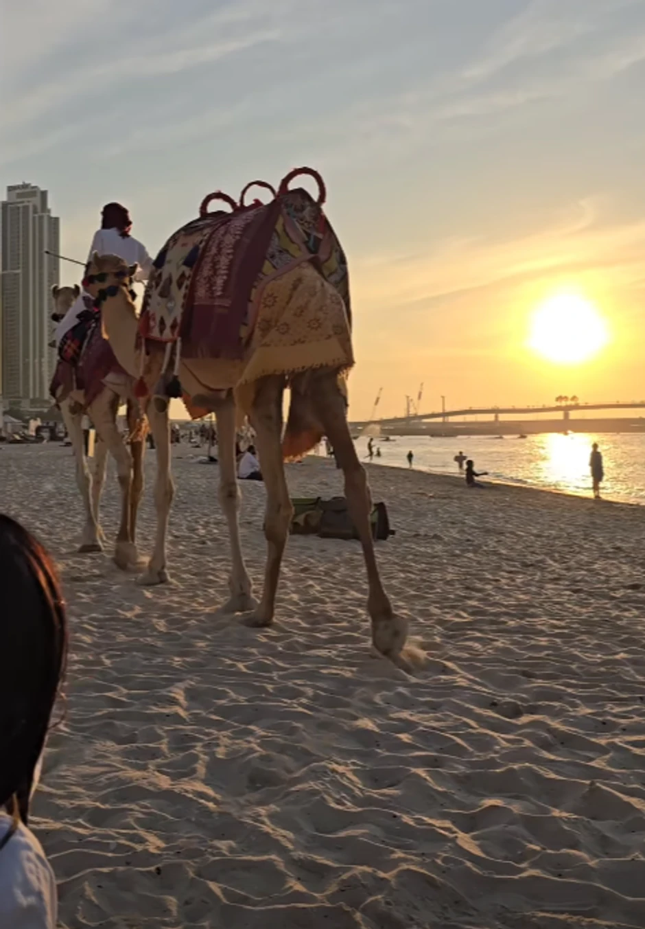 Slađa Alegro uživa u Dubaiju