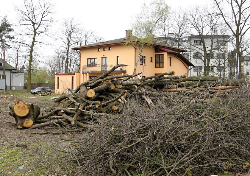 Mężczyzna przywiązał się do drzewa