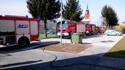 Ze szkoły ewakuowano niemal setkę osób. Interwencja strażaków w Mydłowie