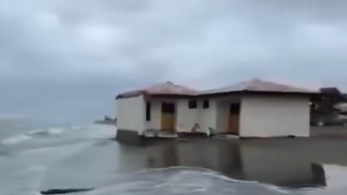 More guta kućice na Adi Bojani