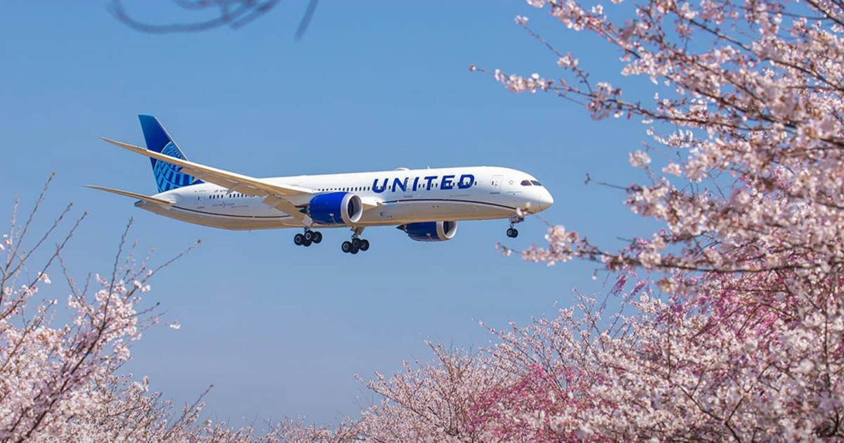 www.aerotelegraph.com