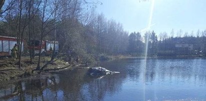 Szokujący wypadek 25-latki. Jej samochód znalazł się w stawie [ZDJĘCIA]