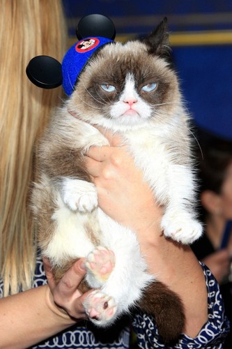 Grumpy Cat na amerykańskiej premierze 'Kopciuszka'
