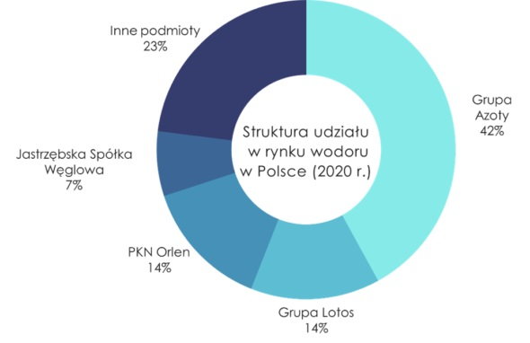 Struktura udziału w rynku wodoru w Polsce w 2020 roku Grafika - Ministerstwo klimatu i środowiska