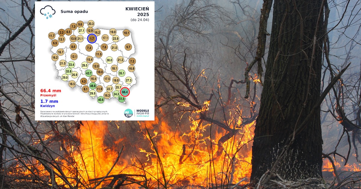 IMGW prognozuje ekstremalne zagrożenie pożarowe w lasach. W tych rejonach będzie najgorzej
