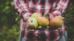 Zawsze smacznie i prosto. Trzy przepisy kulinarne na dania z gruszkami