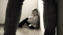 Biurokracja zamiast realnej ochrony, czyli jak sprawdza się lex Kamilek