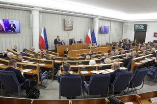 Senat przyjął ustawę pozwalającą na blokowanie nielegalnych treści w internecie. Przepisy będą mniej restrykcyjne?