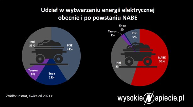 Udział w wytwarzaniu energii elektrycznej przed i po powstaniu NABE