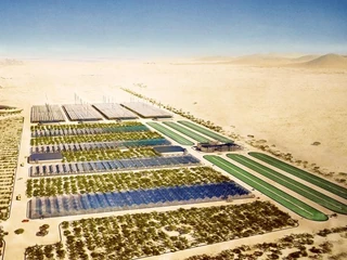 Sahara Forest Project