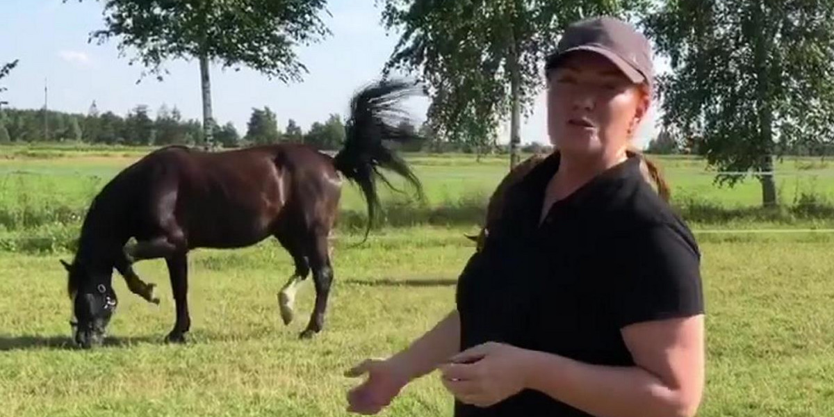 Katarzyna Dowbor ma nową miłość. Jej serce skradł koń Bosman