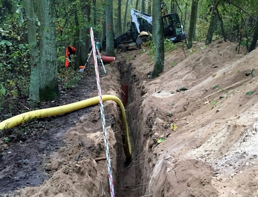 Chcą ocalić rezerwat Żurawiniec