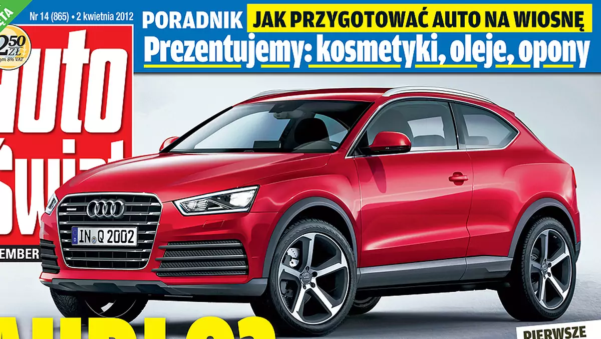 Audi serii Q w każdym rozmiarze