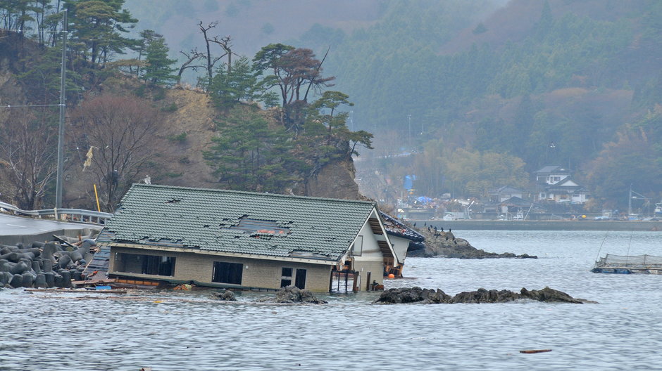 Skutki trzęsienia ziemi i tsunami w Japonii w 2011 r.