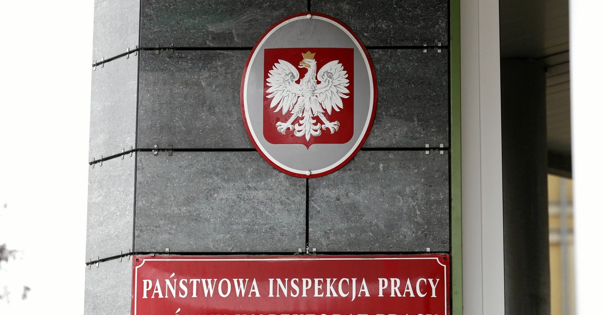 Nowy projekt ustawy o PIP 2026: Decyzja administracyjna o ustaleniu stosunku pracy