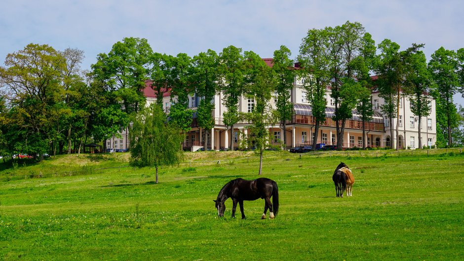 Sielski widok na przyrodę Buska-Zdroju