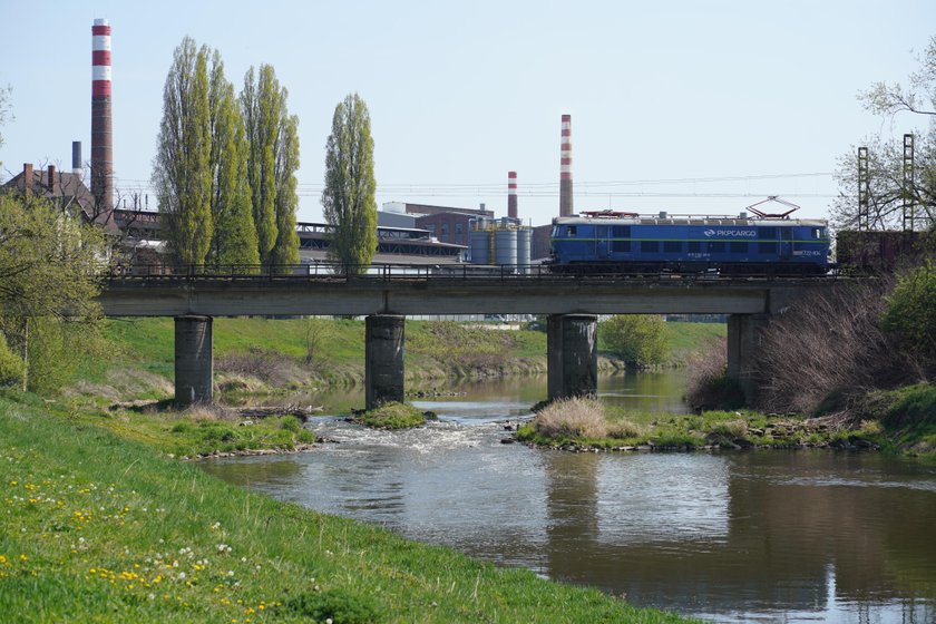 Racibórz. Susza na Śląsku