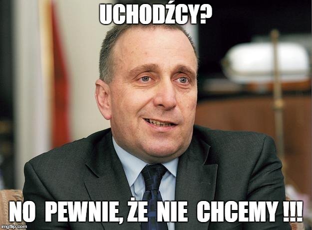 Memy - Grzegorz Schetyna