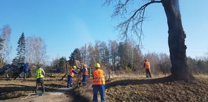 Ruszyła budowa ekspresówki do Grójca