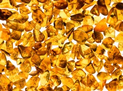 Bursztynowy skarb tuż za polską granicą. W Kaliningradzie...