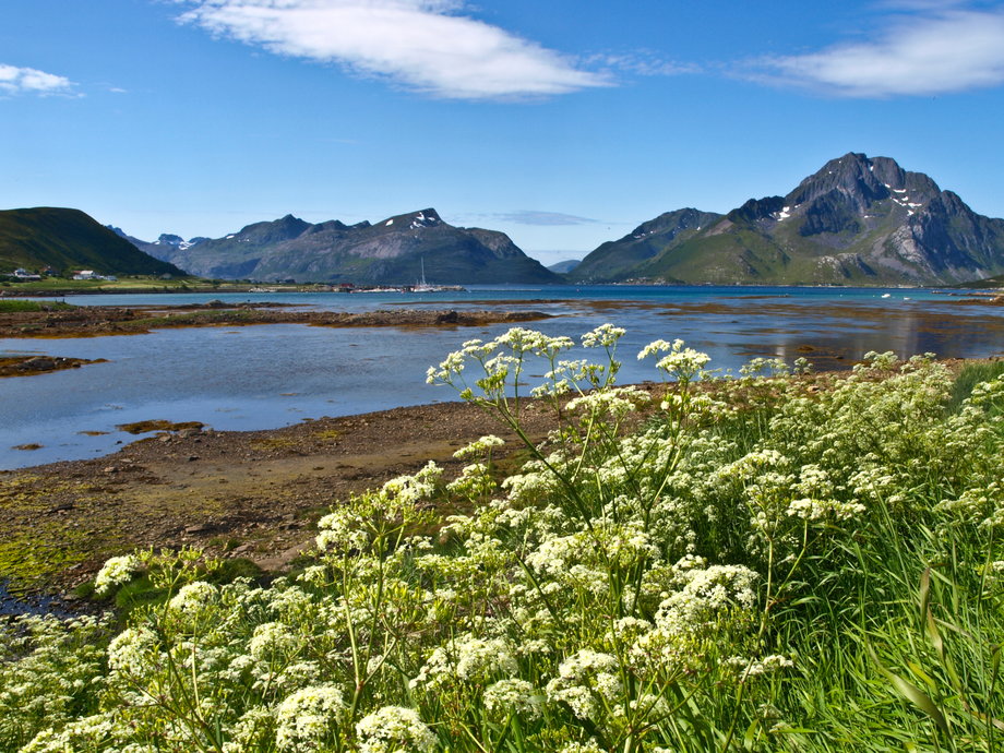 Norwegia pokazuje potęgę natury. Niezwykły kraj fiordów otoczonych wysokimi górami i lodowcami