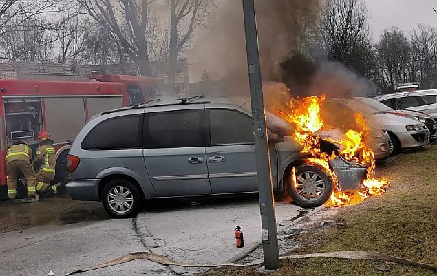 źródło: Straż Miejska