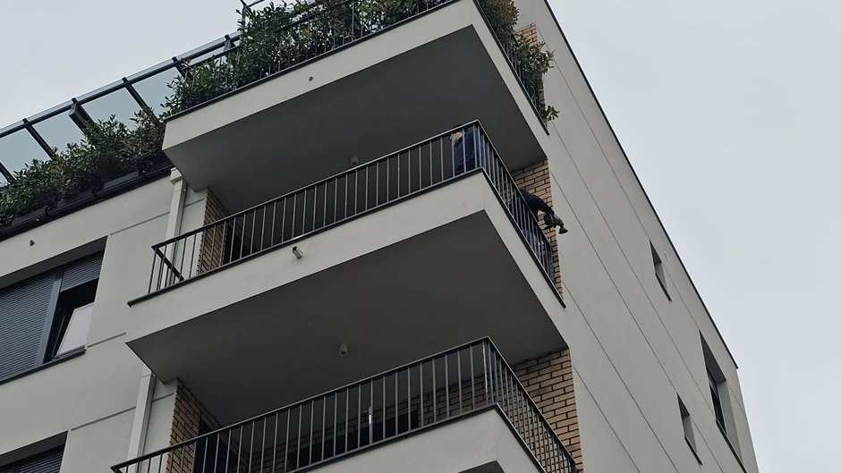 Progovorile komšije Marka Miljkovića