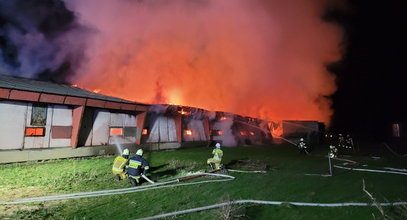 Ogromny pożar w Glinicy. Spłonęło 20 tys. kurczaków [ZDJĘCIA]