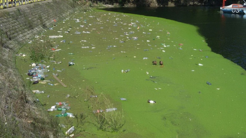 Preostali deo zelene materije