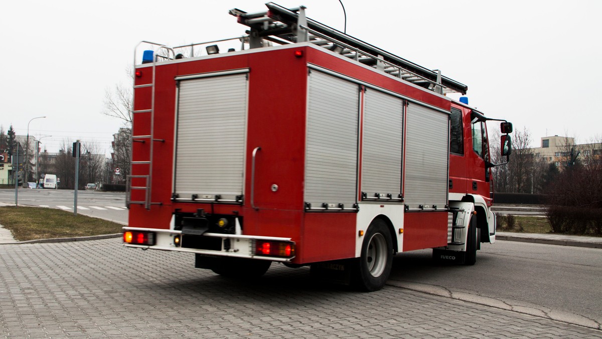 Szczecin. Groźny wypadek. Drzewo spadło wprost na autobus