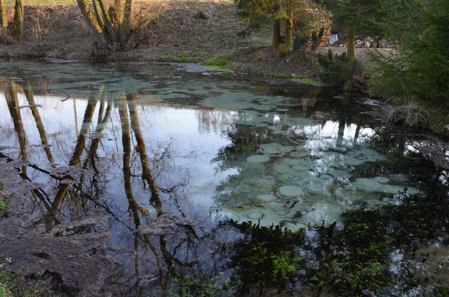 Dłubniański Park Krajobrazowy, źródło Hydrografów. 