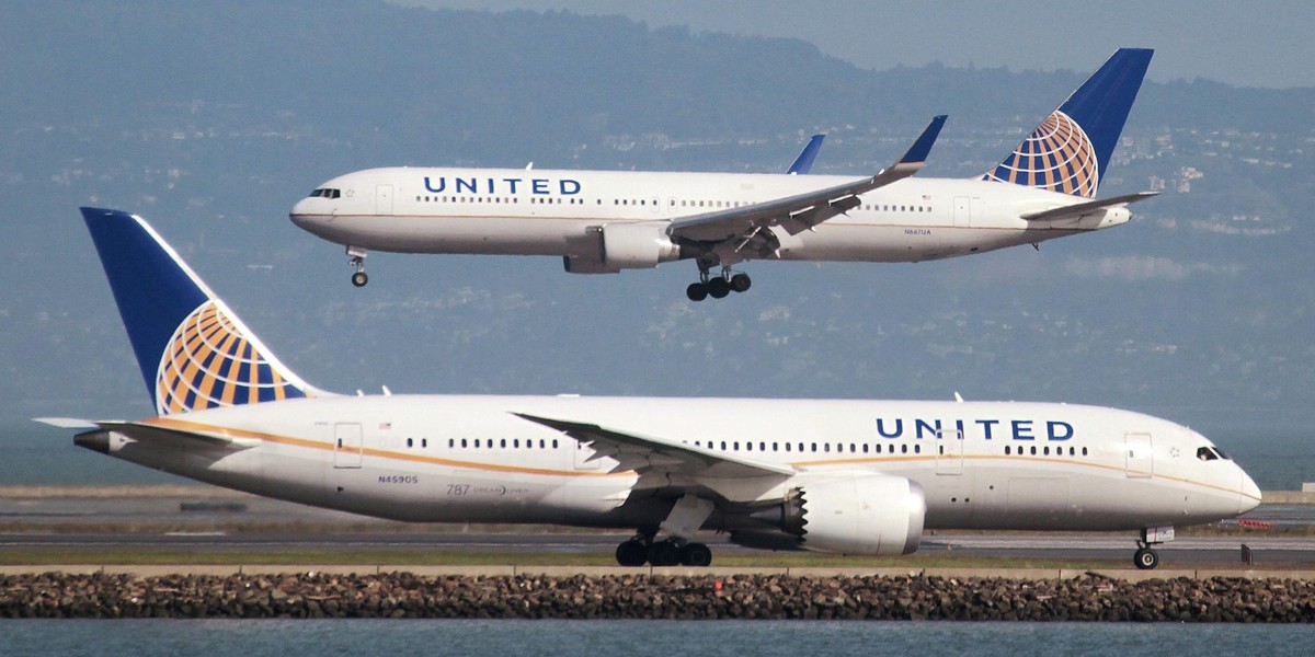 Skandal w United Airlines. Zdechł królik hodowczyni Annette Edwards