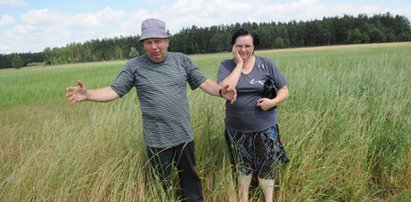 Rolnicy wycięli kilka krzewów, stracą gospodarstwo