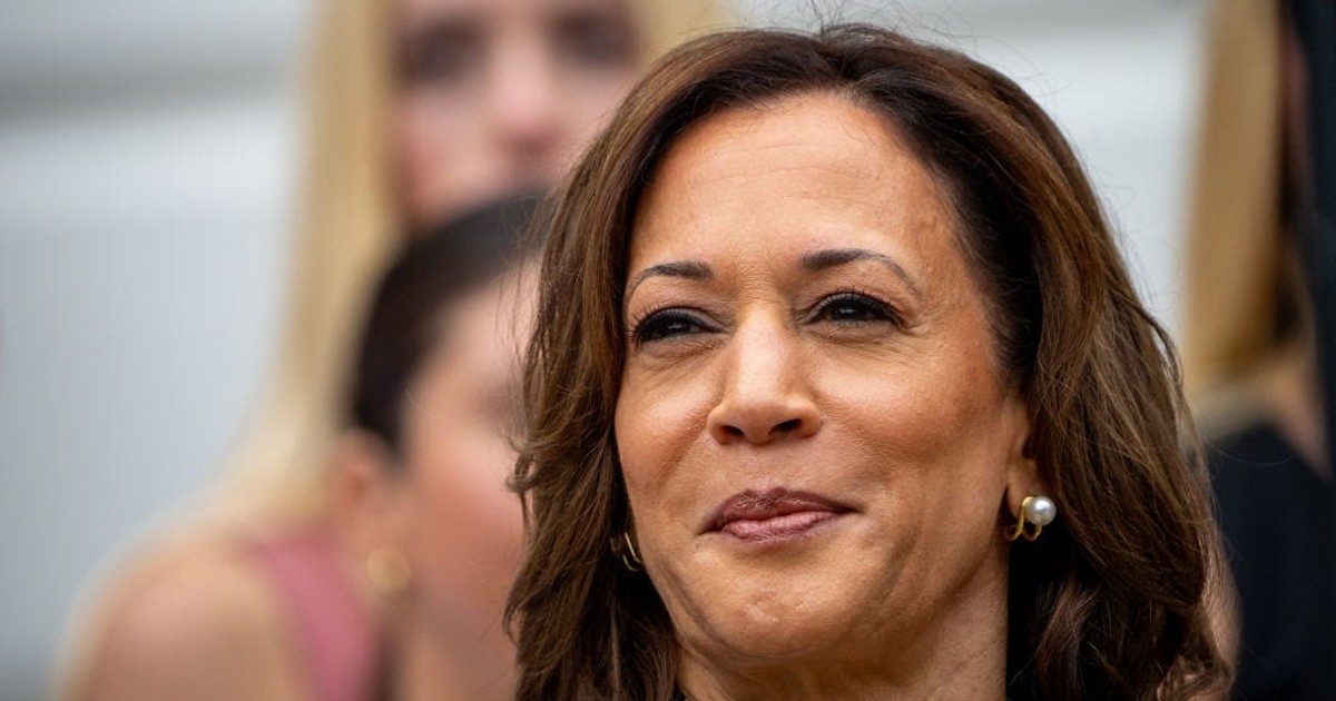 Who Kamala Harris picks for her running mate will show where her ...