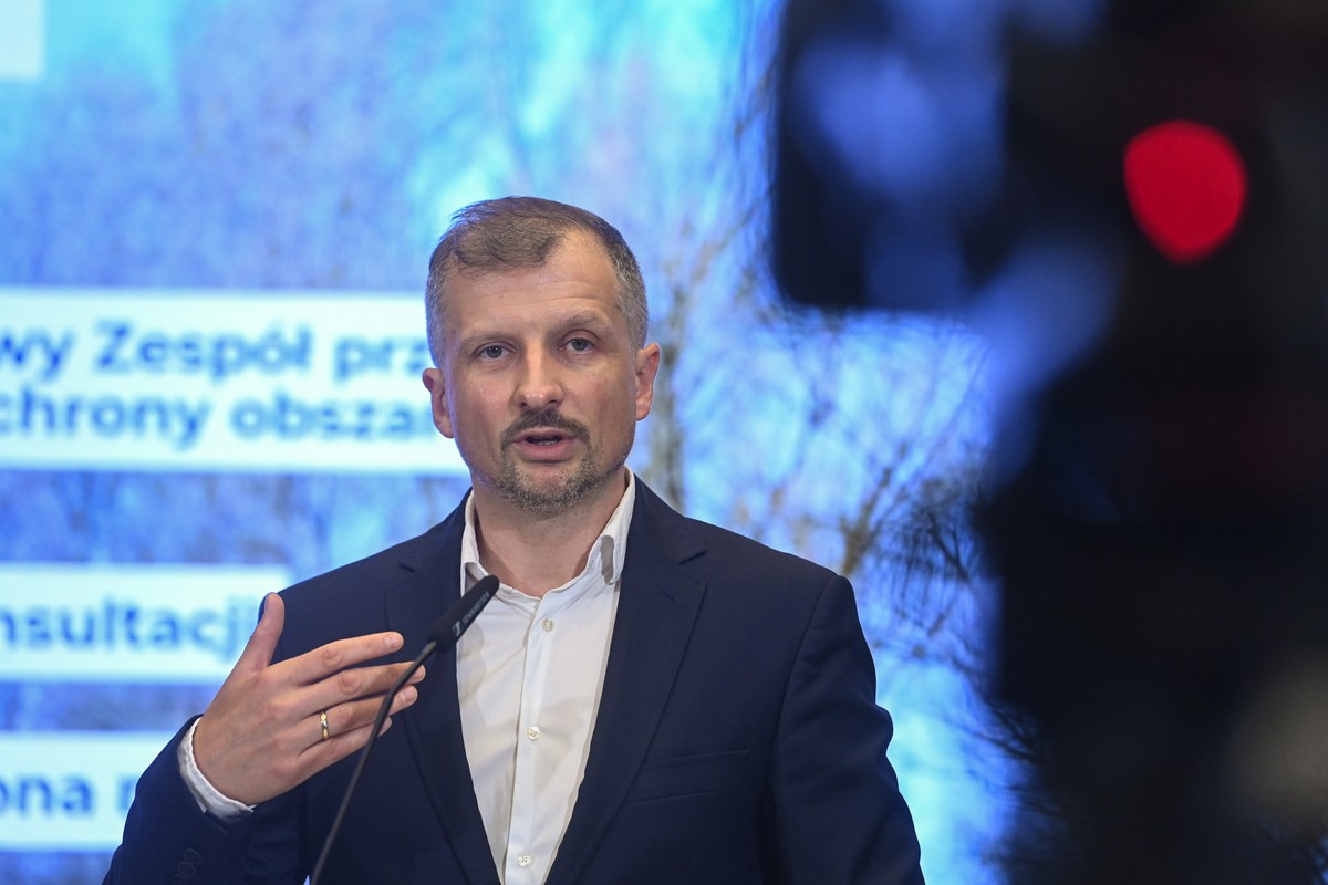 Mokradła mogą wzmocnić obronność Polski. Resort klimatu szykuje nową strategię