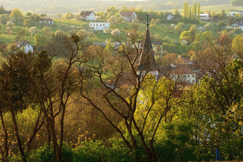 Oberschützen