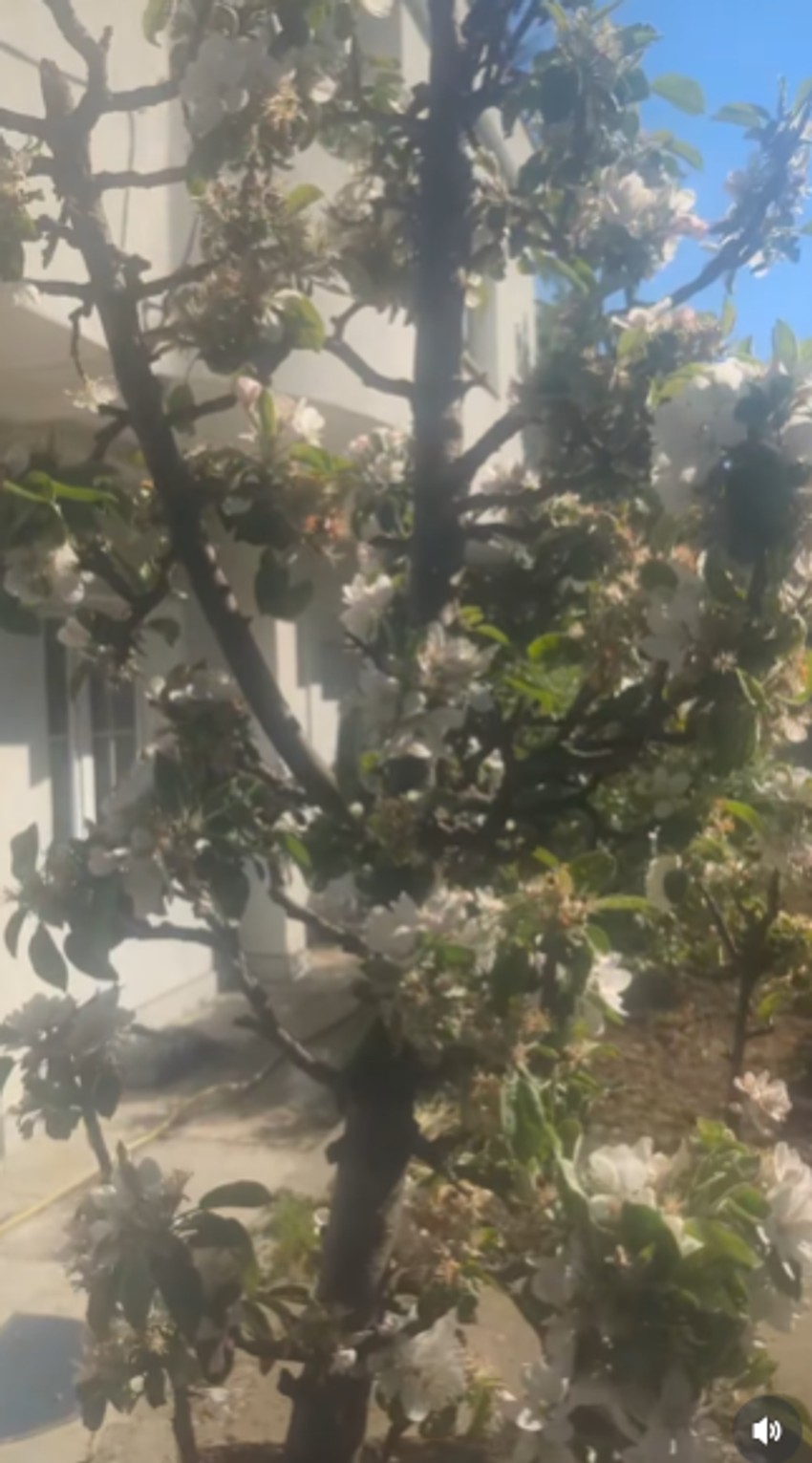 Zorica Marković pokazala imanje