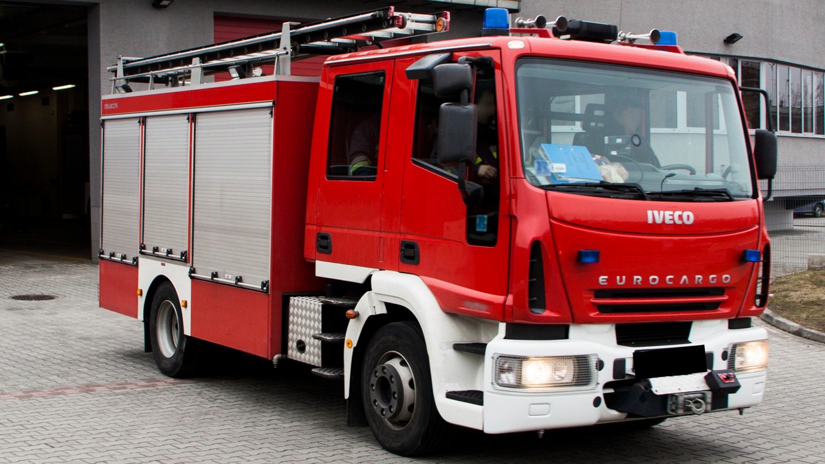 17 zastępów straży pożarnej walczy z pożarem śmieci na wysypisku w podkieleckim Promniku; obecnie sytuacja jest opanowana - powiedział bryg. Jan Brożyna z Wojewódzkiego Stanowiska Koordynacji Ratownictwa Państwowej Straży Pożarnej w Kielcach.