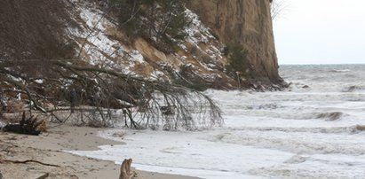 Makabryczne odkrycie na plaży w Gdyni. Spacerowicze natknęli się na zwłoki