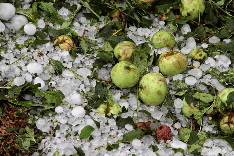 Grad wielkości śliwek na Podhalu. Jedna osoba ranna