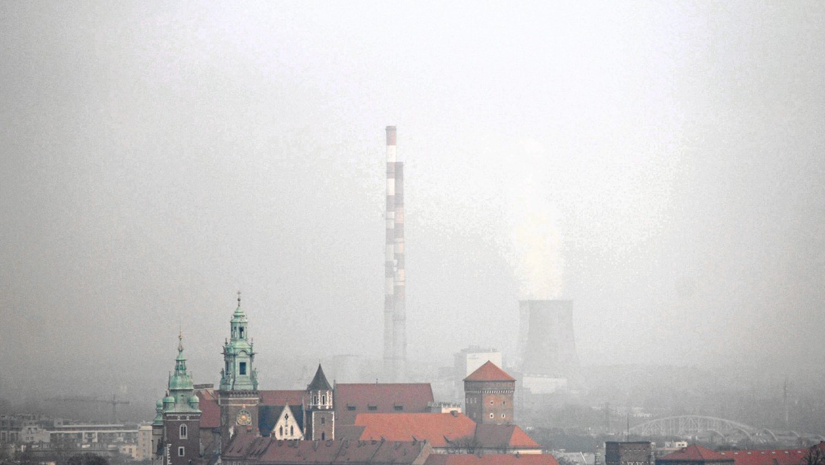 Ilość rakotwórczego benzo(a)pirenu, którą przyjmuje rocznie krakowianin odpowiada wypaleniu 3300 papierosów. Dla porównania mieszkaniec Berlina przyjmuje dawkę równoważną 200 papierosom, a Londynu 35 - donoszą inicjatorzy akcji "Krakowski Alarm Smogowy". Młode matki, które postanowiły powiedzieć STOP trującemu smogowi, zgromadziły już tysiące zwolenników. Ulicami Krakowa przeszli protestujący mieszkańcy w maseczkach antypyłowych.