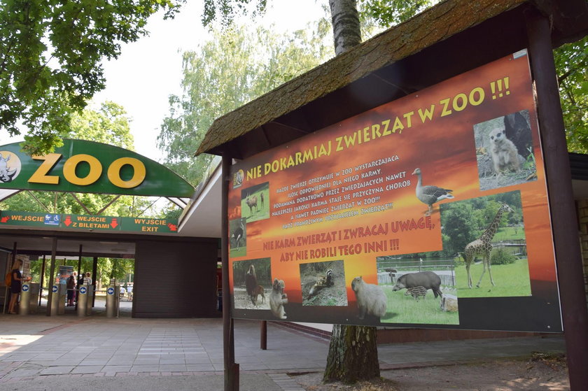 Odwiedzając zoo, przestrzegajmy reguł