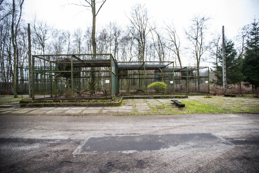 Wyremontują woliery dla ptaków drapieżnych z poznańskiego Zoo