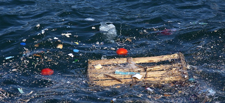 Dlaczego ryby zjadają plastik zaśmiecający morza i oceany