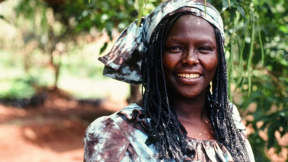 Vangari Matai, kenijska aktivistikinja, dobila je Nobelovu nagradu za mir 2004. godine | Foto: Corbis via Getty