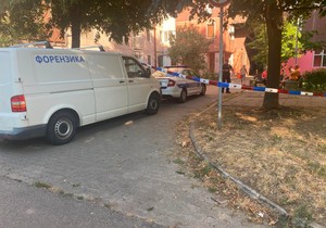Bežanijska kosa hronika