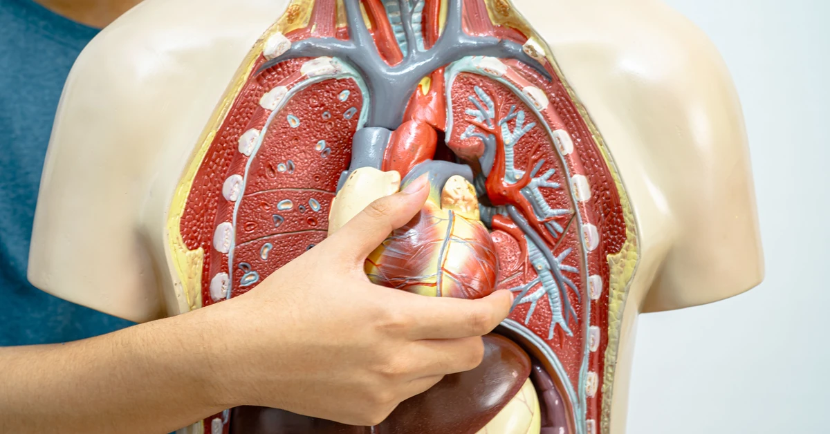 Trudny quiz z biologii. 20/20 tylko dla najlepszych